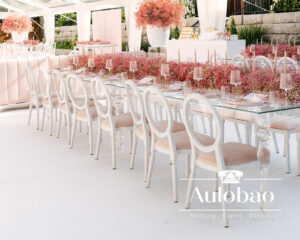 Clear Wedding Chairs