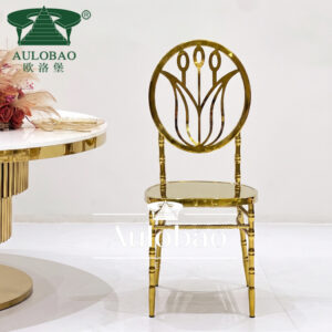 Stainless Steel Dining Chairs